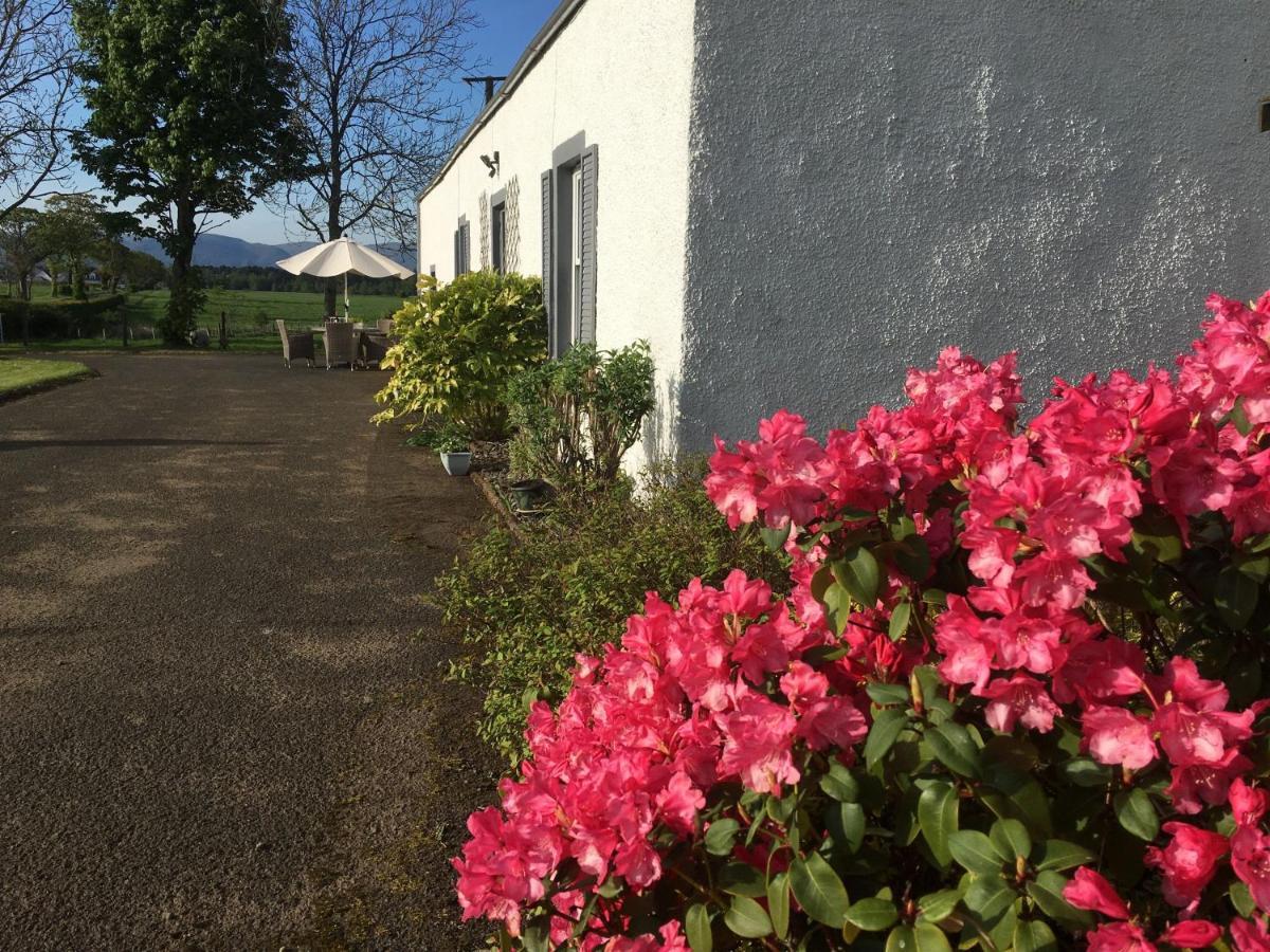 South Doll Farm Cottage Airth Exterior foto